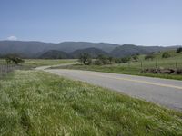 A Scenic Rural Road in California, USA