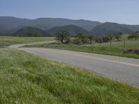 A Scenic Rural Road in California, USA