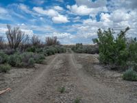 Rural Road in Utah: Clouds and Clear Sky