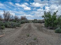 Rural Road in Utah: Clouds and Clear Sky