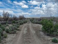 Rural Road in Utah: Clouds and Clear Sky