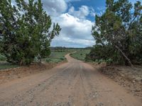 Rural Road in Utah, USA: Clear Sky and Pristine Landscape