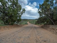 Rural Road in Utah, USA: Clear Sky and Pristine Landscape