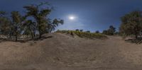 a 360 - shot view of a hill with trees and bushes, and the sun in the middle of the horizon