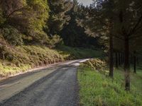 a small road through the woods and on to the edge is an empty road that is lined with trees