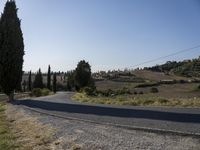 a rural scene with a paved road and tall trees in the foreground and hills in the background