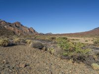 desert landscape with mountains in background, and roadway on it with no passing cars on it