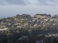 Rural Suburban Area near San Francisco: A Peaceful Retreat