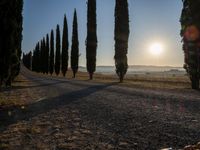 Rural Sunrise Landscape in Tuscany, Italy