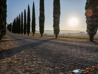 Rural Sunrise Landscape in Tuscany, Italy