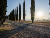 Rural Sunrise Landscape in Tuscany, Italy