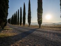 Rural Sunrise Landscape in Tuscany, Italy