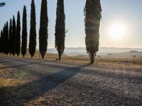 Rural Sunrise Landscape in Tuscany, Italy