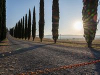 Rural Sunrise Landscape in Tuscany, Italy