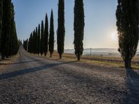 Rural Sunrise Landscape in Tuscany, Italy