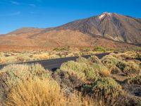 the road is paved in two sections with mountains in the distance and scrub vegetation around it