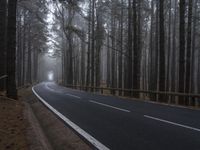 a road that has a light at the end and trees lining both sides of it