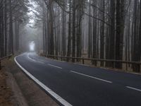 a road that has a light at the end and trees lining both sides of it