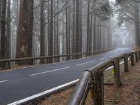 Rural Tenerife Spain on a Foggy Day