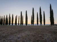 Rural Tuscany Italy Dawn Landscape 001