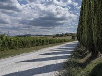 Rural Tuscany, Italy: A Serene Dirt Road