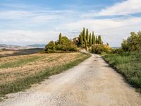 Rural Tuscany Italy: Picturesque Dirt Road 001