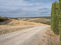 a lonely country road in a remote region, near a pine tree lined road in the middle of it