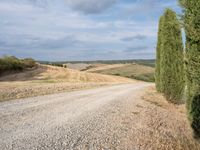 a lonely country road in a remote region, near a pine tree lined road in the middle of it