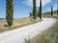 Rural Landscape in Tuscany, Italy