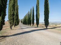 Rural Tuscany Road Landscape with Clear Sky