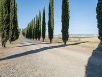 Rural Tuscany Road Landscape with Clear Sky