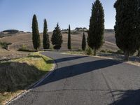 Rural Tuscany Road Landscape Nature