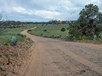 Rural Utah: Clear Skies and a Dirt Road