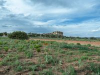 Rural Utah Landscape: Clear Sky and Scenic Views