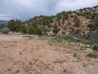 Rural Utah Landscape: Off-Road Adventure