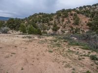 Rural Utah Landscape: Off-Road Adventure