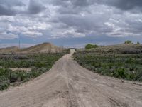 Rural Utah Landscape: A Straight Dirt Road