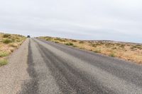 Rural Utah Landscape: Tree and Canyonlands