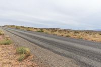 Rural Utah Landscape: Tree and Canyonlands