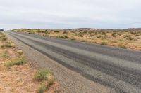 Rural Utah Landscape: Tree and Canyonlands