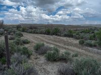 Off-Road Track in Rural Utah