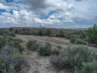 Off-Road Track in Rural Utah