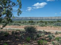 Rural Utah: Off-Road Track Leading to a Campground