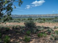 Rural Utah: Off-Road Track Leading to a Campground