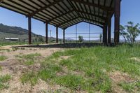 a covered area with the grass and animals standing inside of it and there are horses