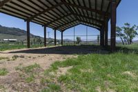 a covered area with the grass and animals standing inside of it and there are horses