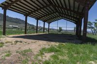 a covered area with the grass and animals standing inside of it and there are horses