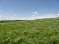 this is a grassy field near a windmill farm, with windmills in the background