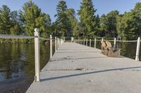 Rural Walkway Bridge Overlooking a Lake and Nature