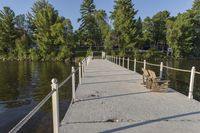 Rural Walkway Bridge Overlooking a Lake and Nature